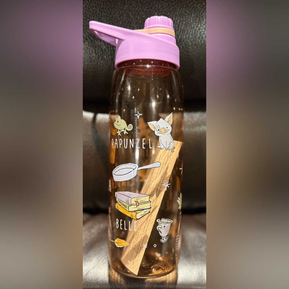 Disney Characters Themed Water Bottle